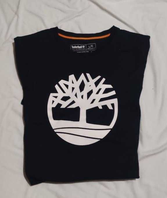 Tshirts e Polos - Lacoste / Tommy Hilfiger / Calvin Klein / Fred Perry