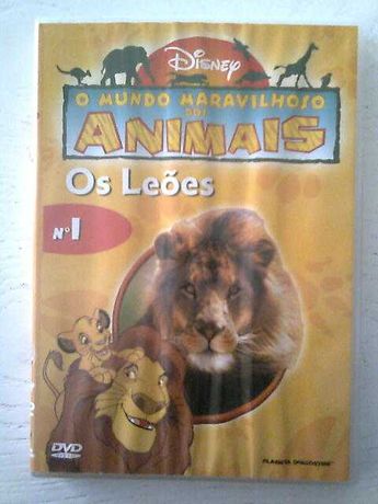 DVD O mundo dos animais Leões