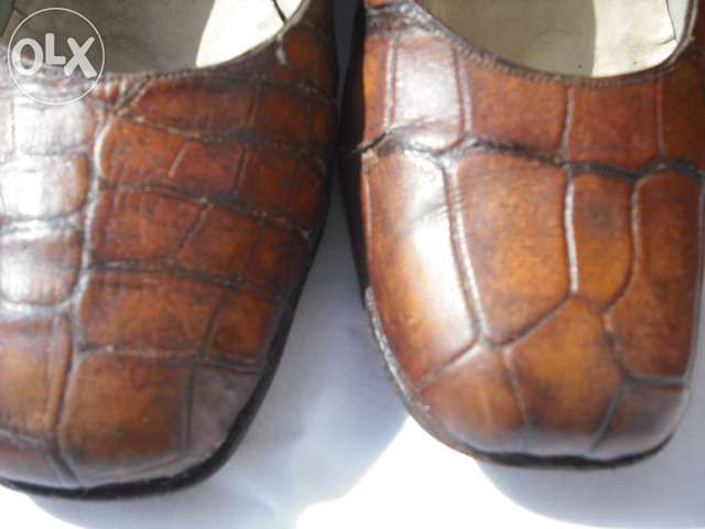 Mala e sapatos em pele de crocodilo -VINTAGE