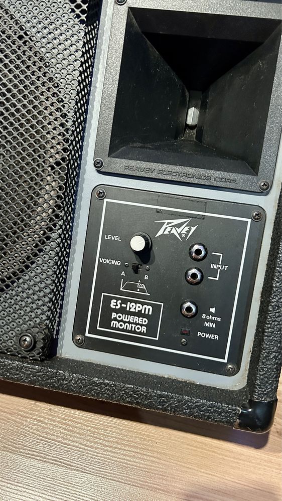 Peavey zawodowe odsluchy sceniczne