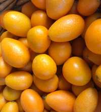 Kumquats Nacionais