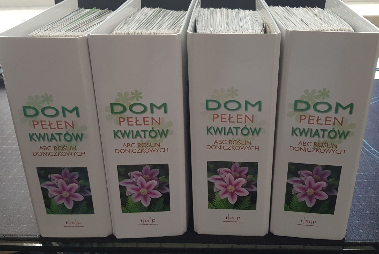 Dom pełen kwiatów. ABC roślin doniczkowych