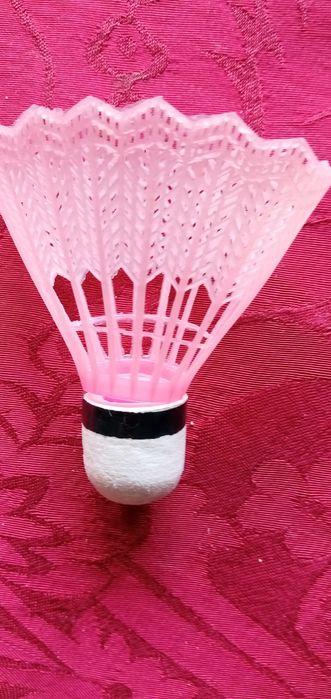 V Centenário do Tratado de Tordesilhas-P.Actividades9E-P.Bébé2EDesde2E