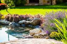 Serviços de Jardinagem