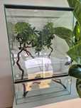 Terrarium pionowe 40x40x60 cm