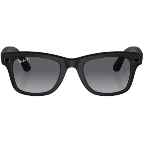 Meta Wayfarer Matte Black Frame Graphite Lenses RW4006