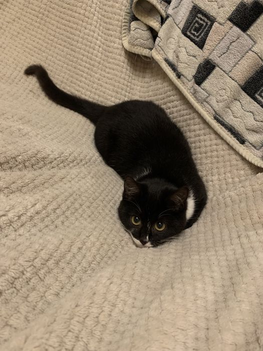 Дівчинка шукає люблячу сімʼю