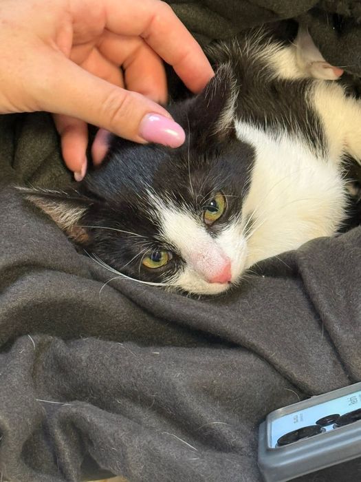 Ile jeszcze czasu musi minąć, aby ktoś je pokochał?..