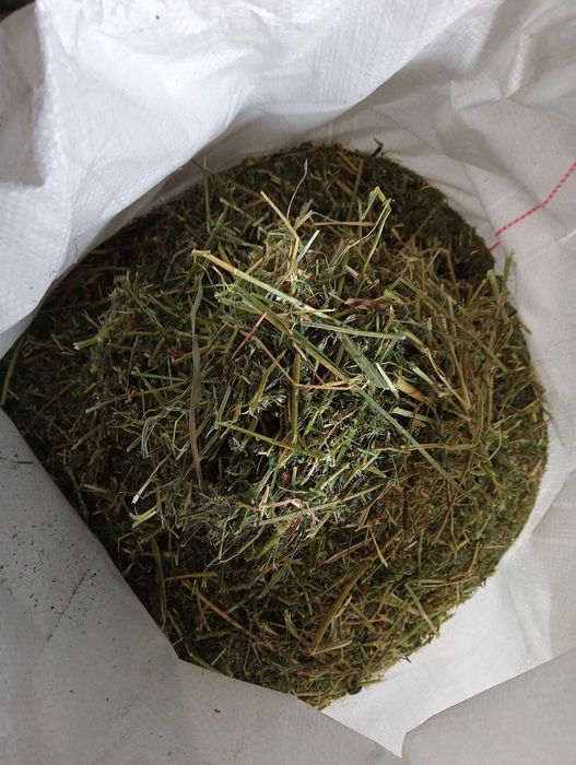 Sieczka z lucerny 10Kg Lucerna