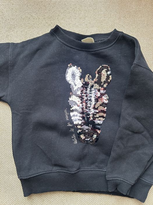 Світшот Zara утеплений з картинкою перевернем