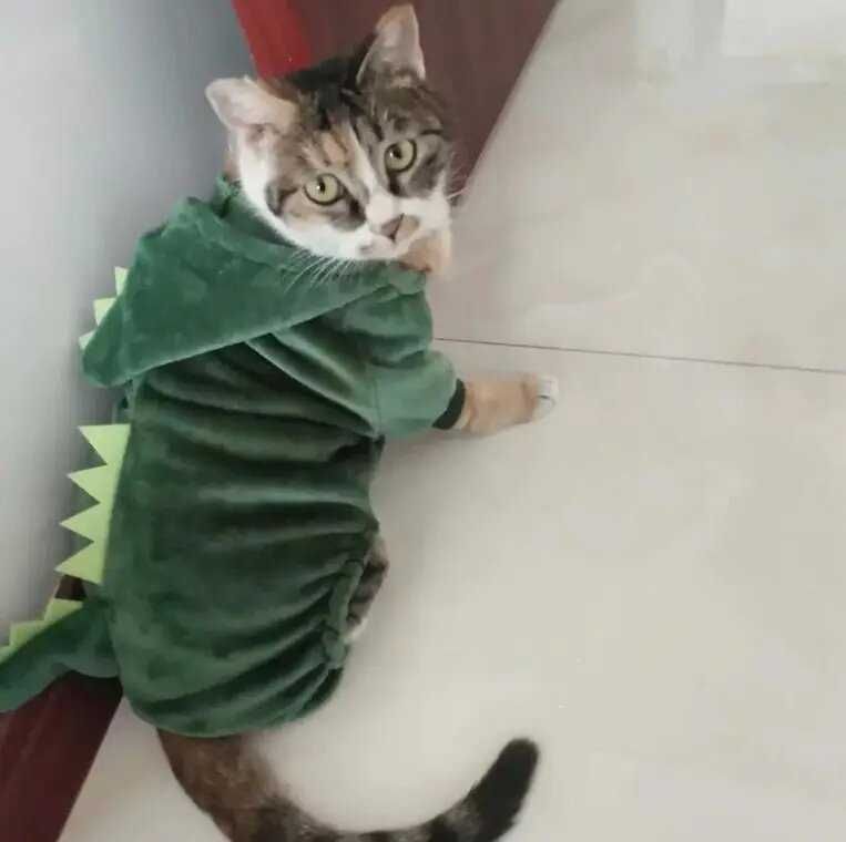 Ubranka dla zwierząt Kot Dinozaur Kostium Rozmiar L
