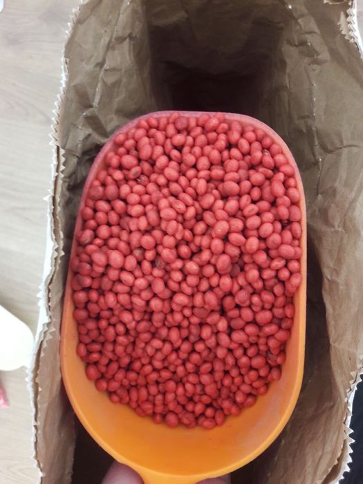 Соя KANSAS, насіння ЕЛІТА, ГМО, канадський трансгенний сорт.