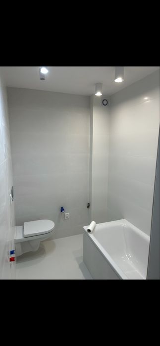 Łazienki , panele , malowanie , ogrody