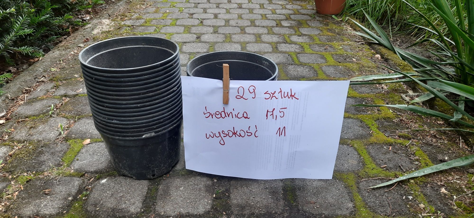 Doniczki produkcyjne oddam za 1 zł