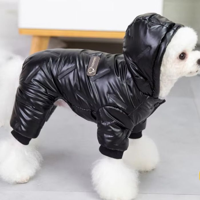 Курточка для Йоріків, маленьких порід собак