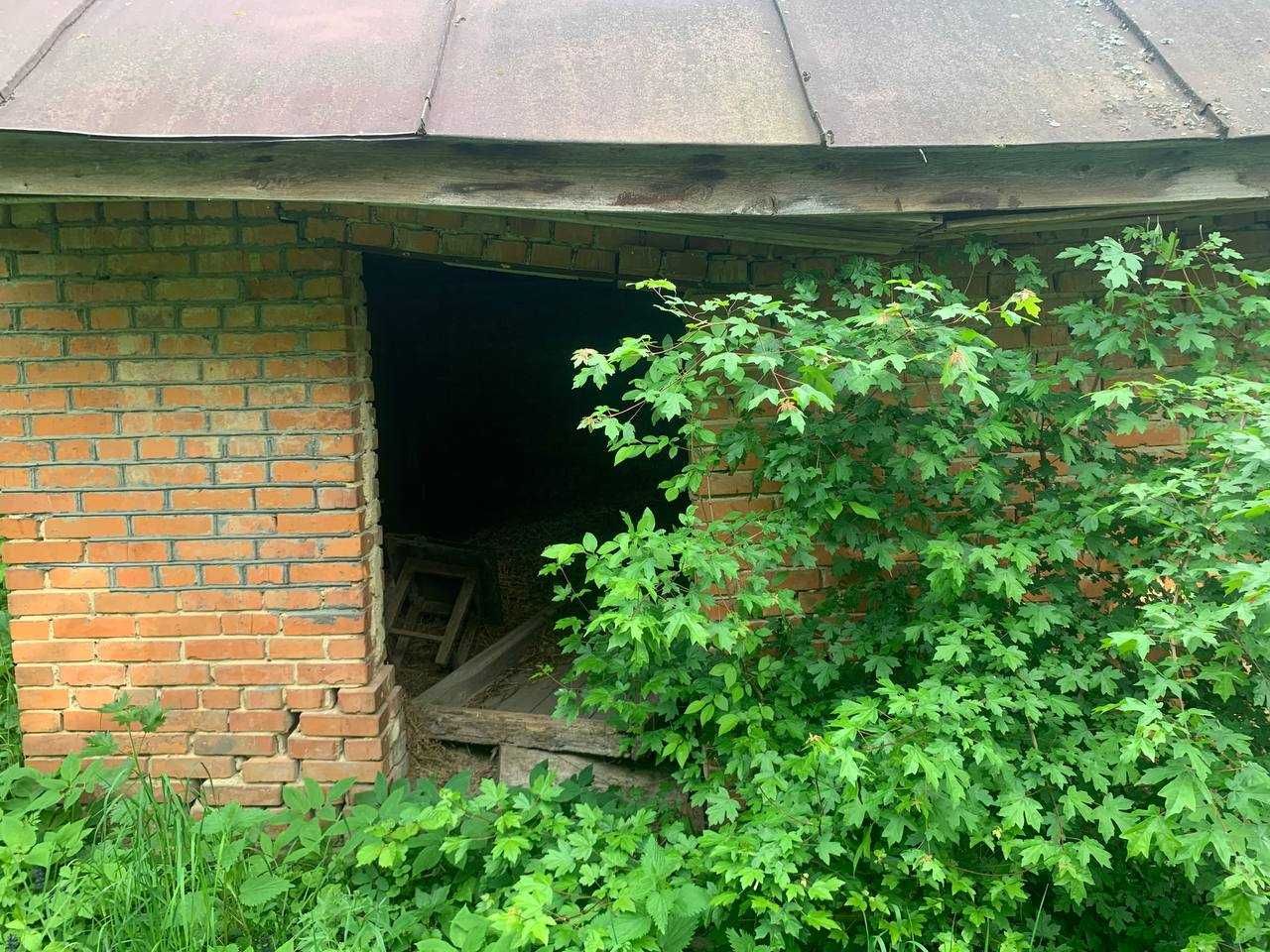 земельна ділянка поруч з лісом