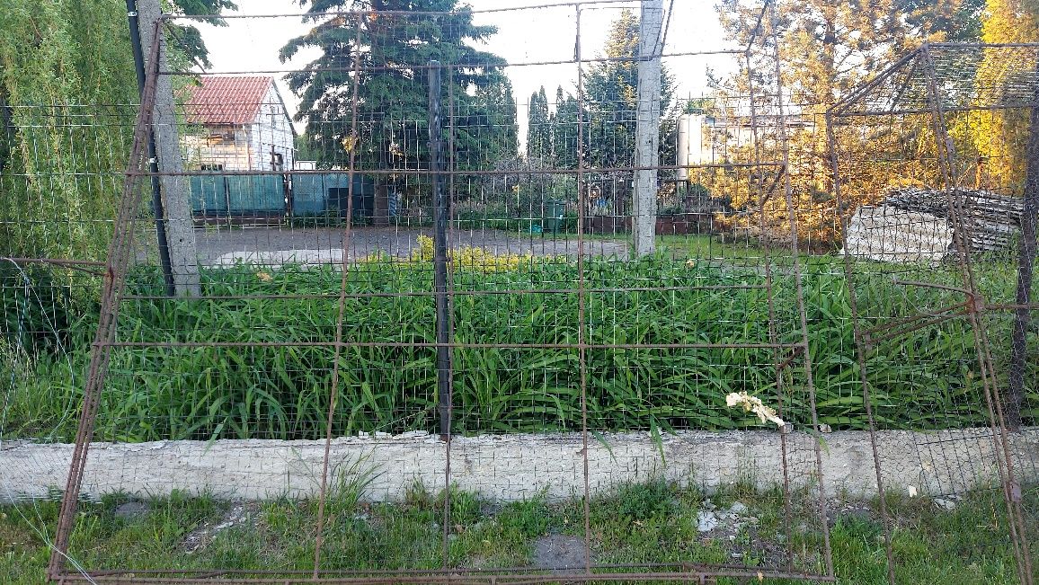 Krata na gołębie