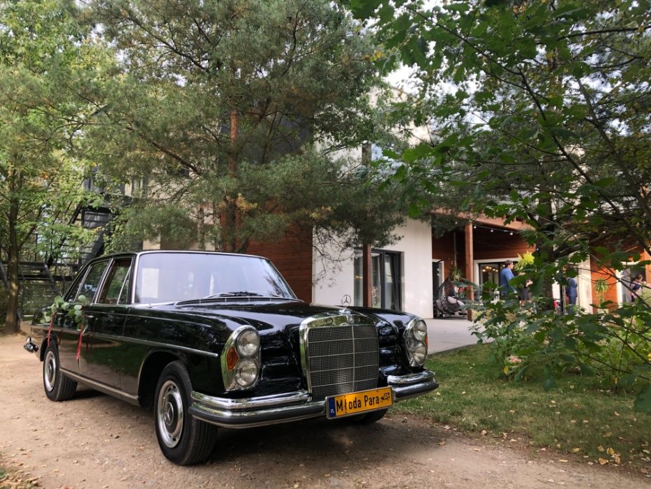 Zabytkowy Mercedes W108 do ślubu lub sesji foto / video