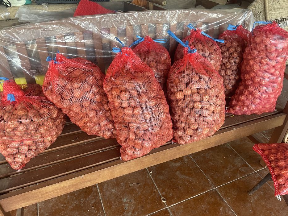 Nozes caseiras de qualidade elevada