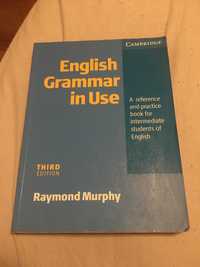 english grammar in use