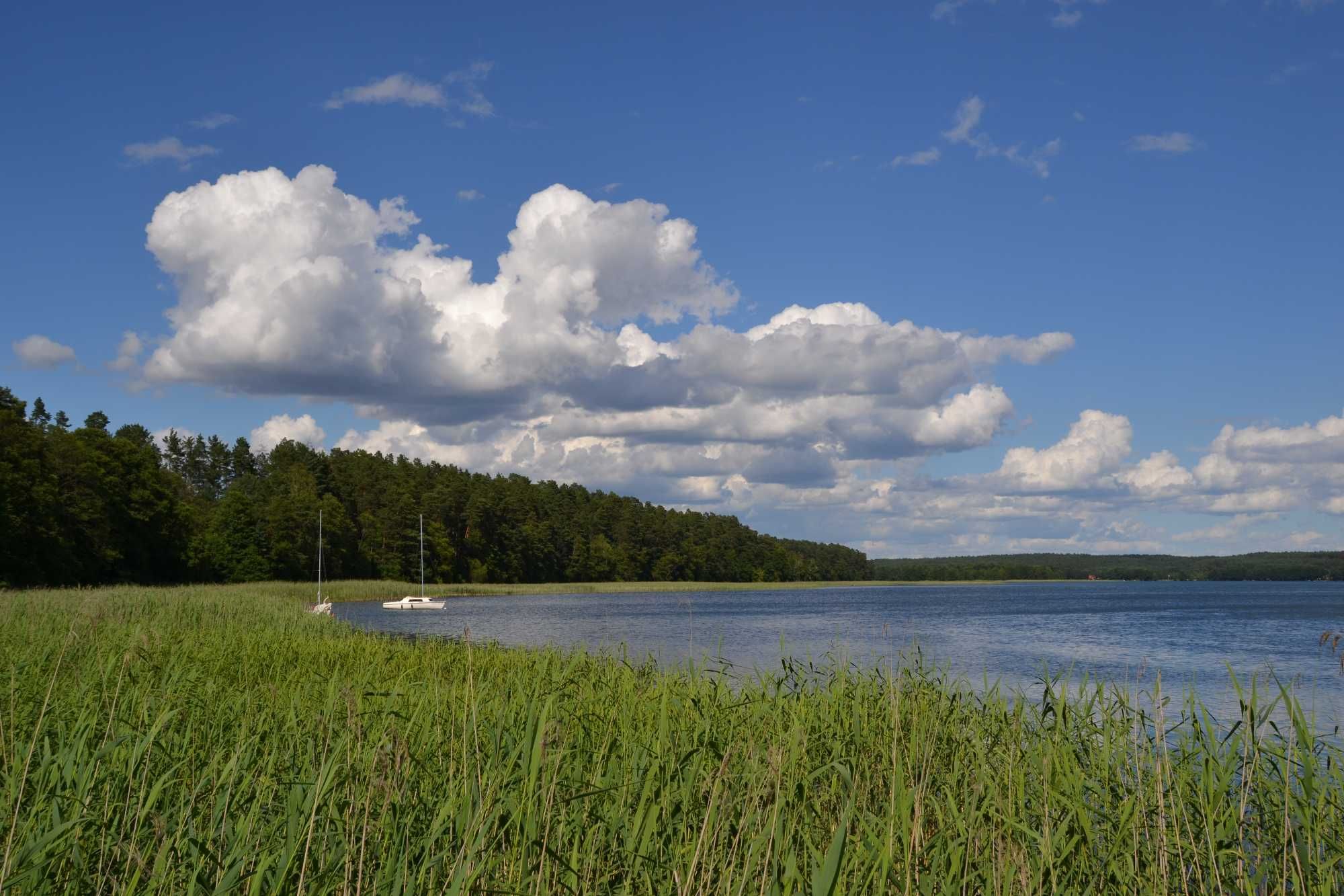 Domek Słonecznik Pluski (Mazury,WiFi,prywatna działka,blisko jezioro)