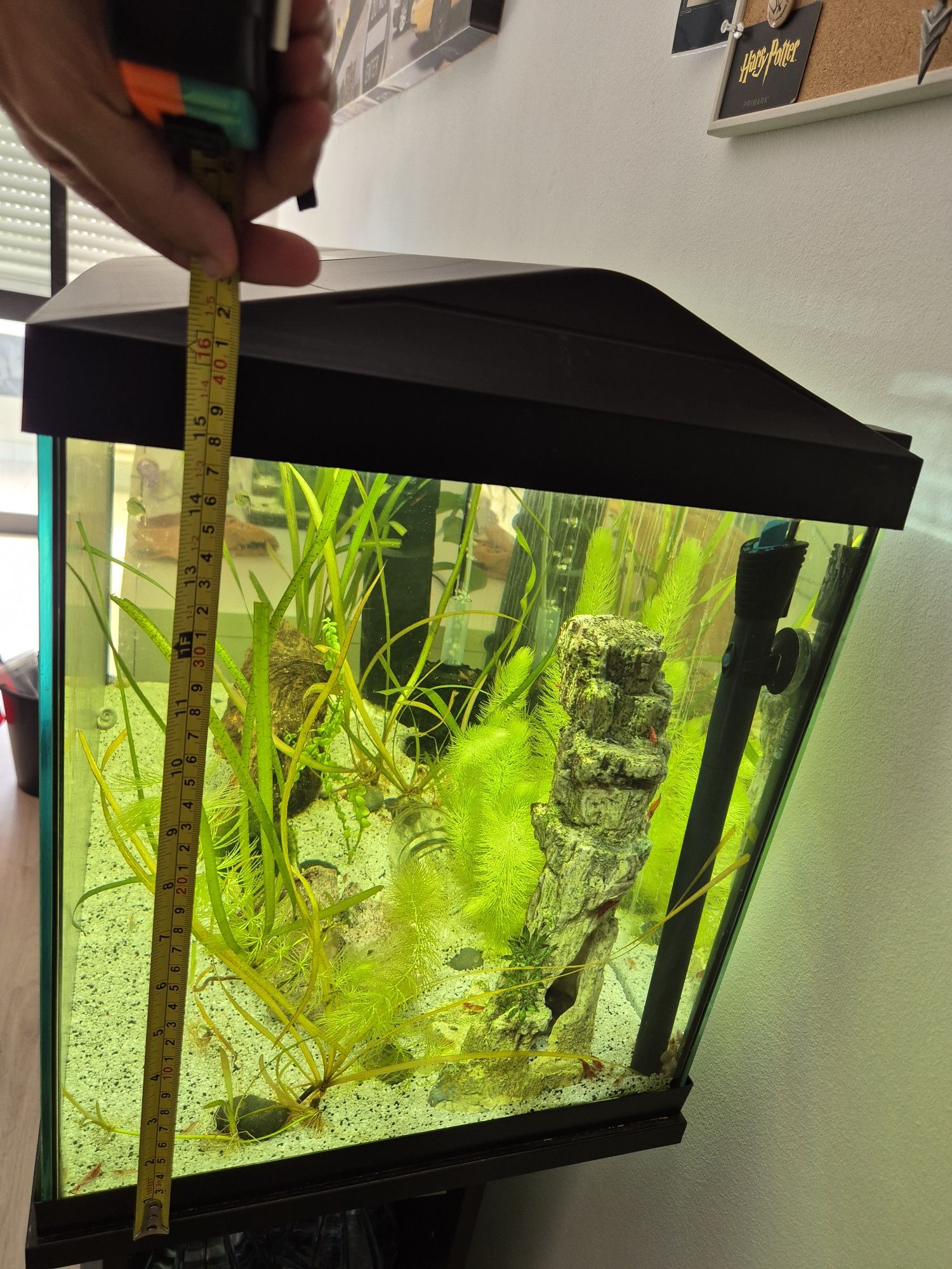 Aquário 100l com luz e termostato