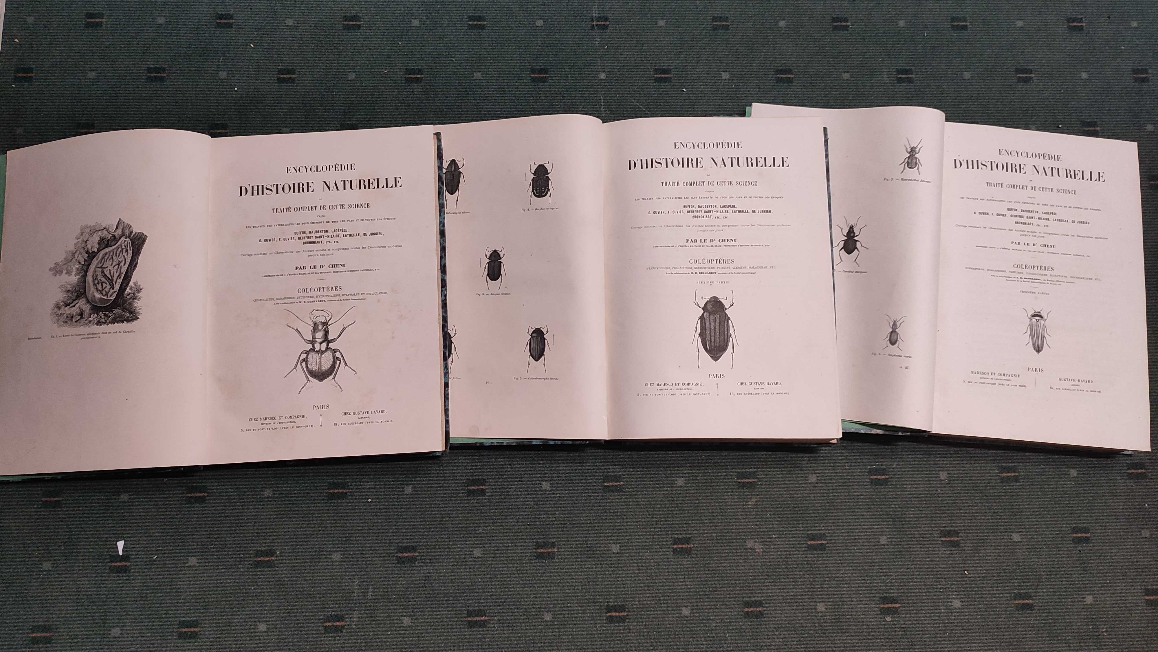 Encyclopédie D'Histoire Naturelle Traité Complet -Coléopteres - 3 Vol