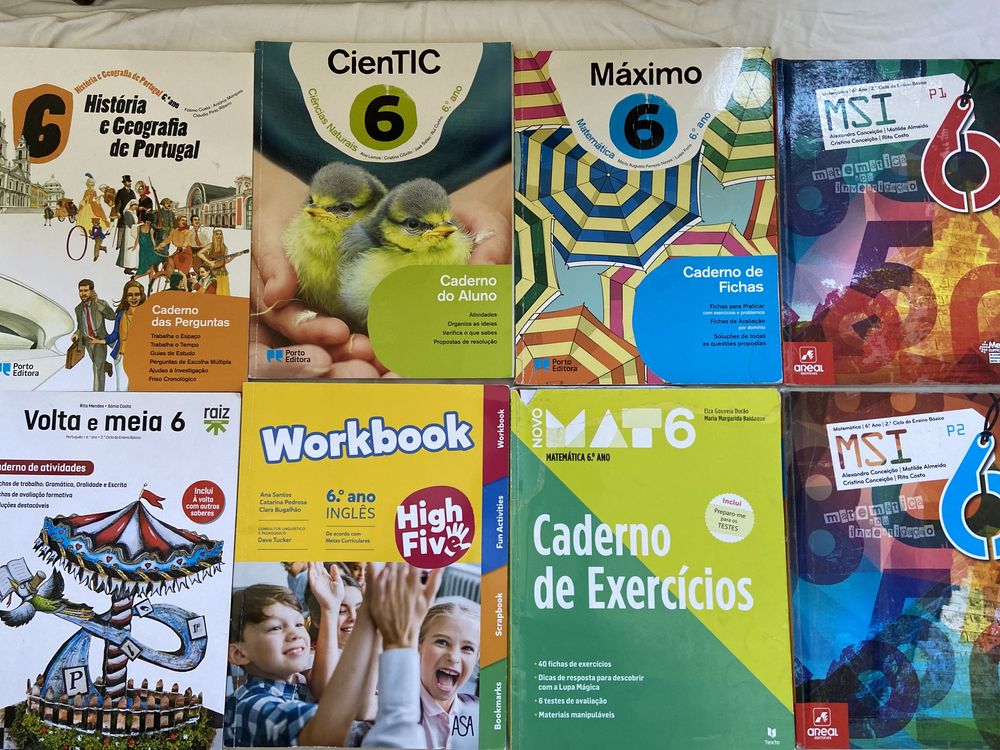 Cadernos de atividade de 6 ano