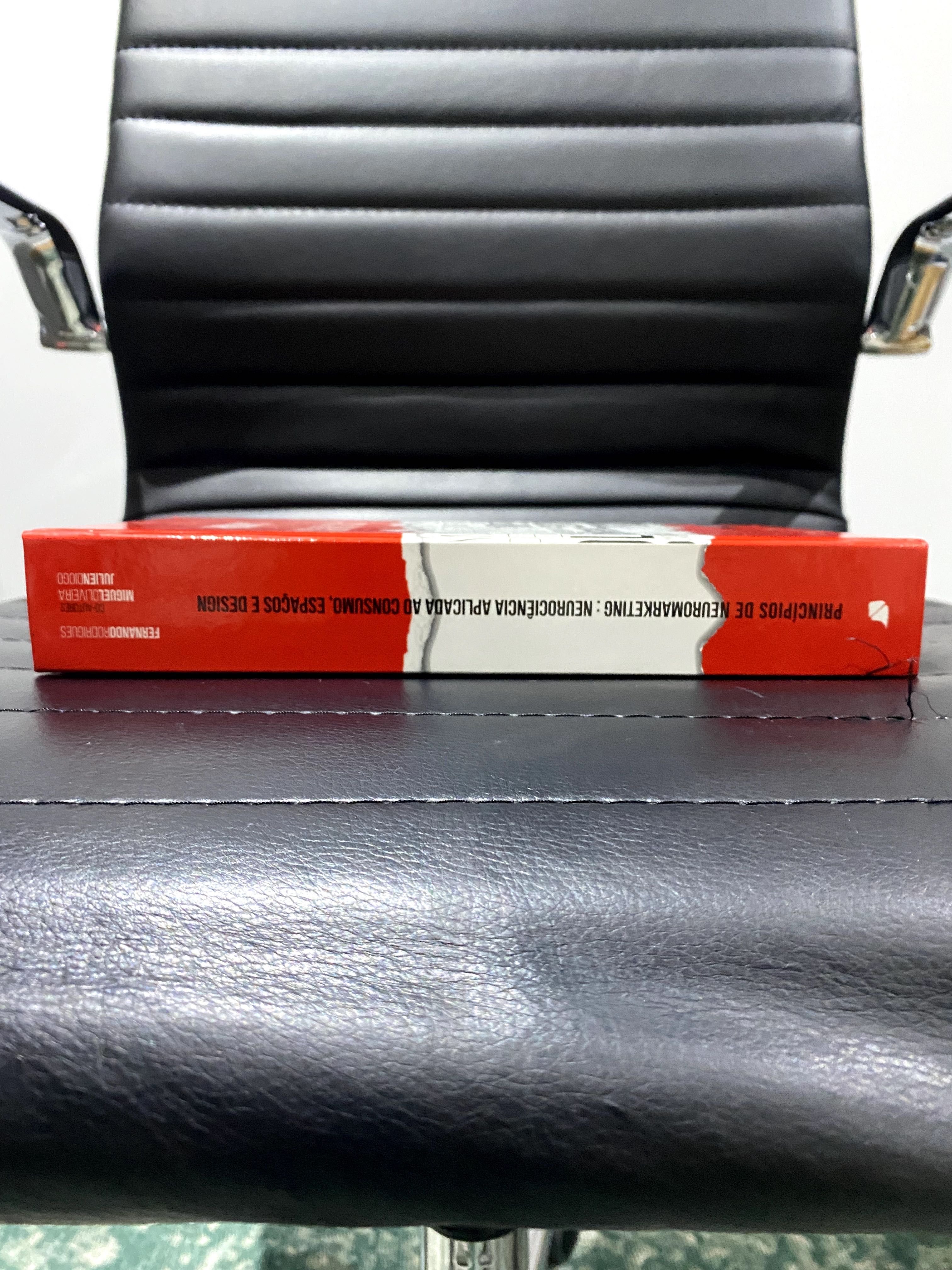 Livro de princípios de neuromarketing