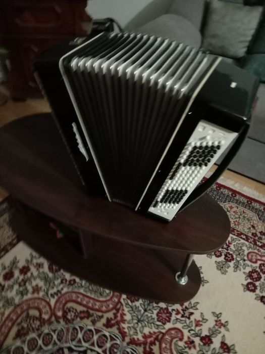 Баян Житомирської фабрики "мечта"