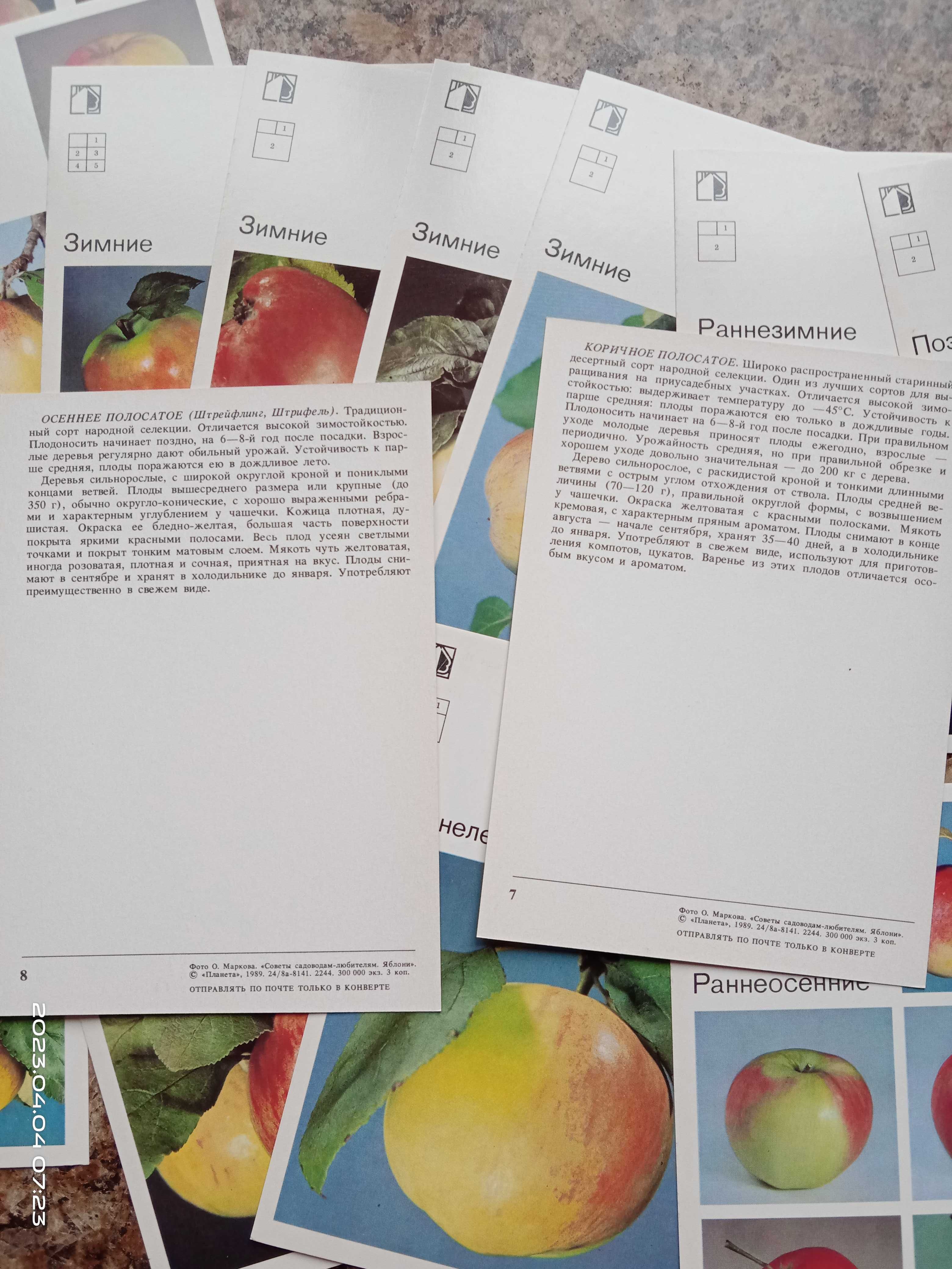 Яблони. Комплект из 18 цветных фото-открыток