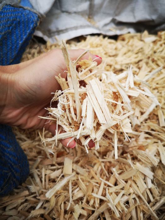 Zrębka iglasta big bag sosnowa