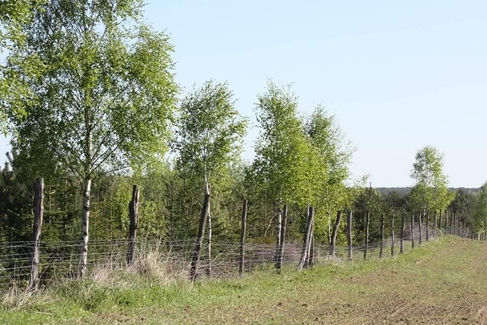 Ziemia rolna 3.94 ha