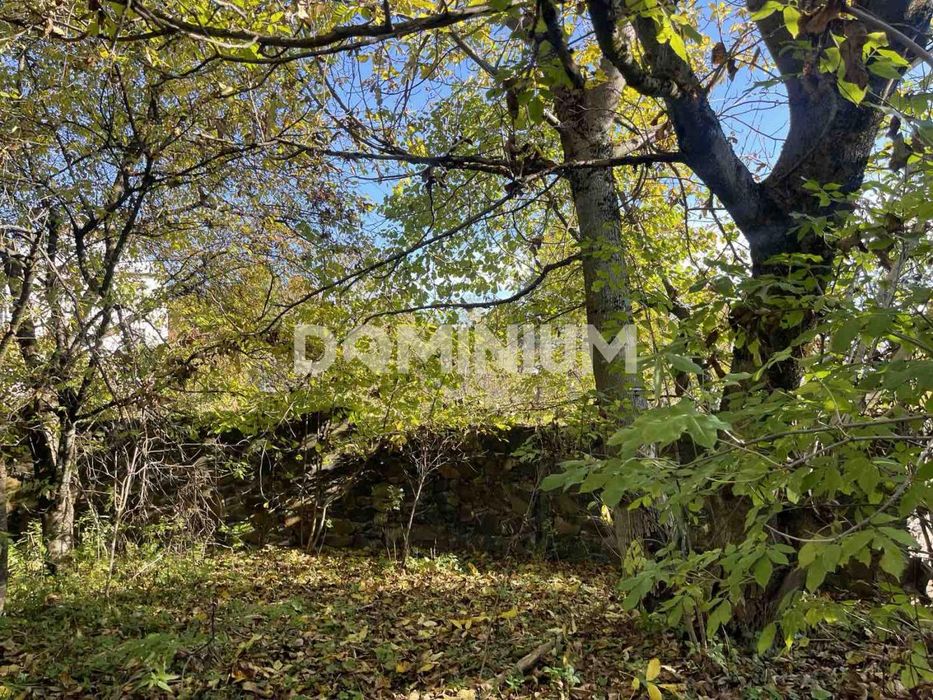 Продається будинок в селі Липовець