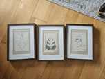 3 molduras castanhas IKEA