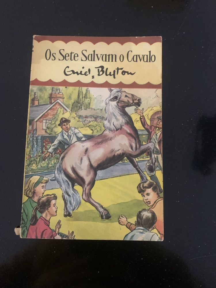 Livro - Os Sete Salvam o Cavalo