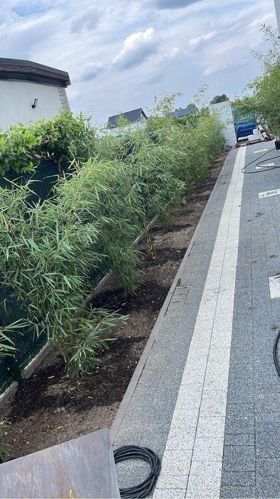 Zakładanie ogrodów, trawników, nawadnianie glebogryzarka separacyjna,