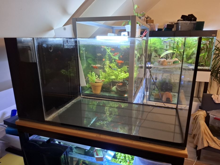 Akwarium 112 L z kominem