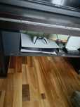 PlayStation 5 używana tyle co nic