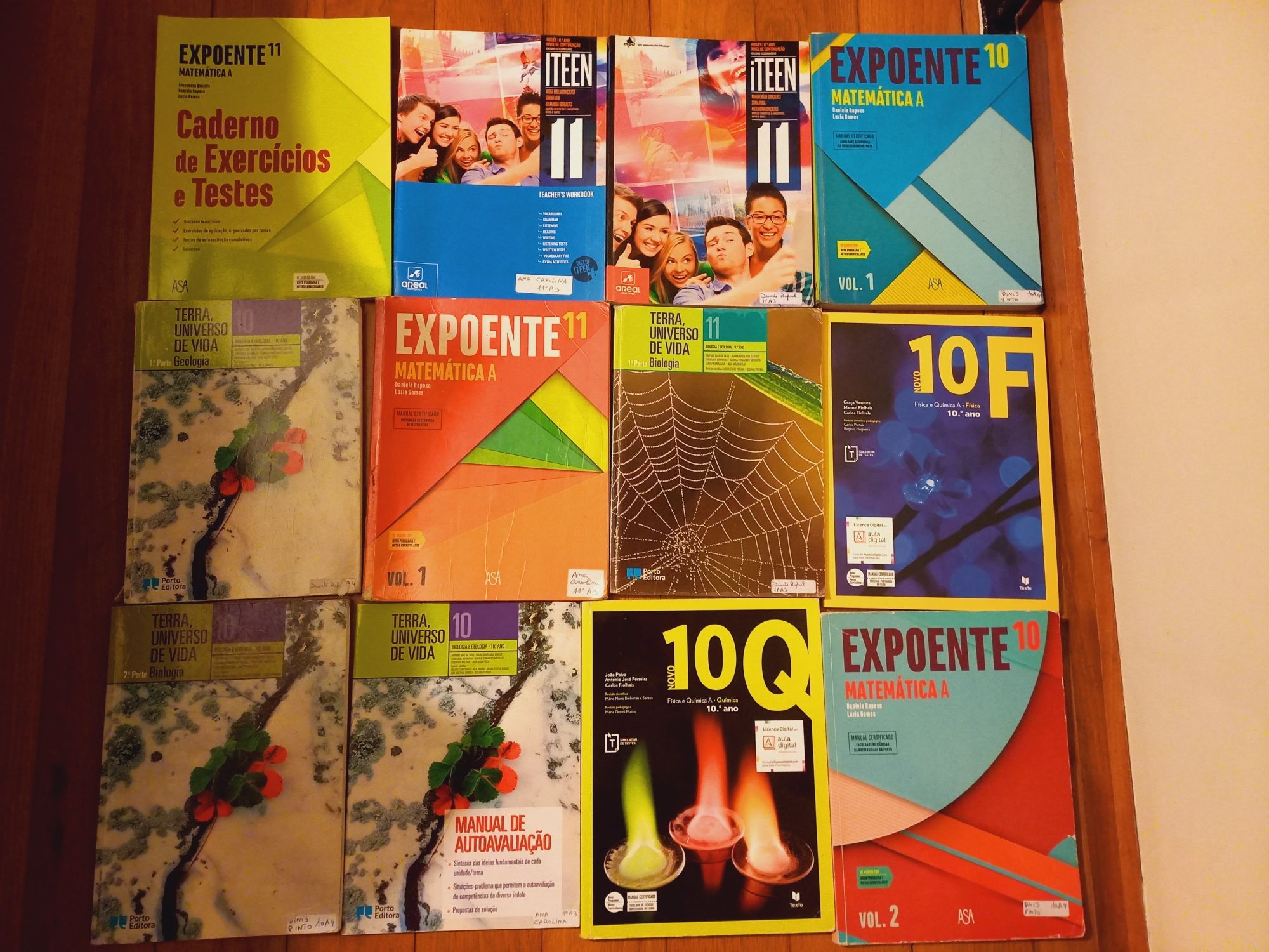 LIQUIDAÇÃO - Livros manuais 10,11,12 ano SECUNDÁRIO