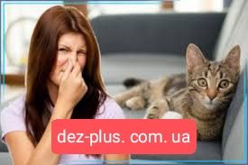 Убрать запах Удалить запах Мочи Сигарет Животных Сырости Трупный Дыма