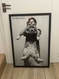 Plakat Ed Sheerana w antyramie XXL 97x66