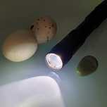 Lanterna mira ovos tipo caneta (ovoscópio), Super Led, ovos pequenos