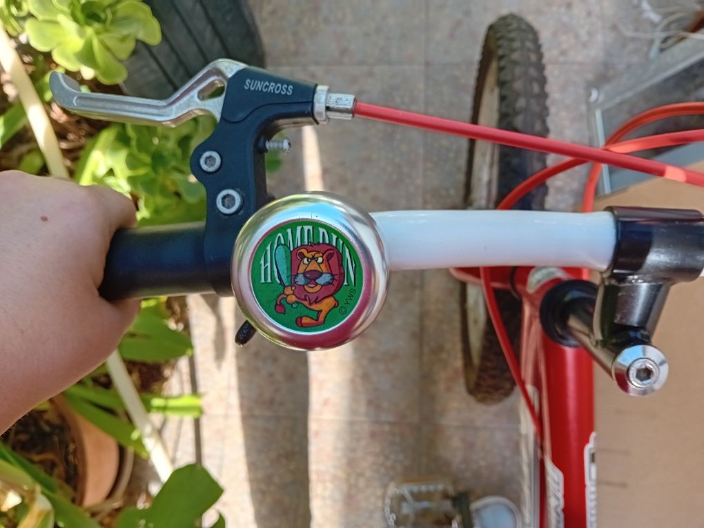 Bicicleta Junior roda 20
