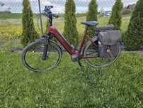 Kalkhoff image 5