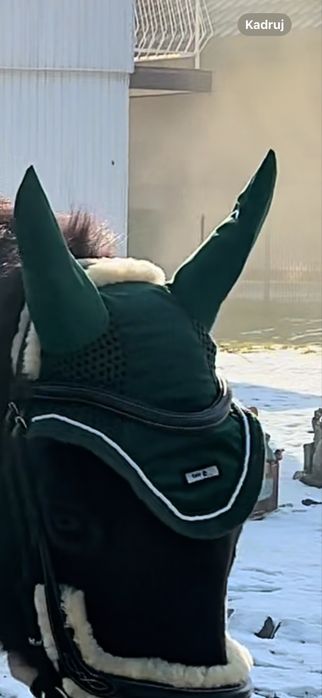 Komplet full buletkowa zieleń