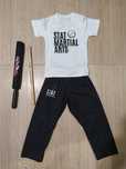 Stat martial arts