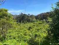 Venda Terreno