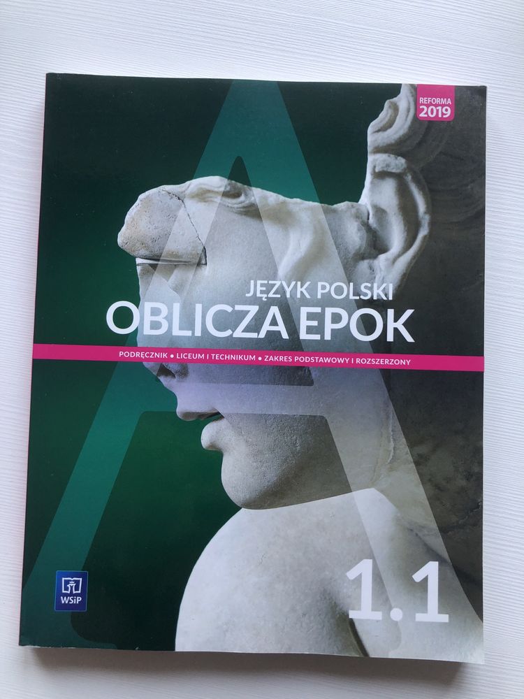 Język polski Oblicza epok 1.1  Podręcznik ZPiR WSiP