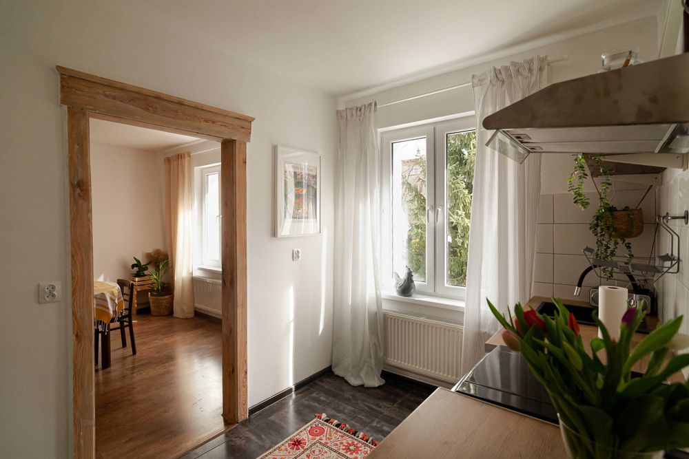 mieszkanie z ogrodem do wynajęcia